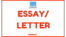 Essay/Letter
