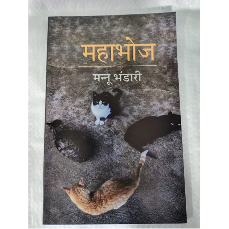 Hindi Sahitya Optional Standard Books Set | 14 Books for Mains